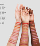 Bobbi Brown powder blush - British product