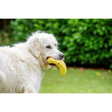 Petface dog toys Vegetable Pets 5 A Day set, imported from the UK