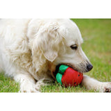 Petface dog toys Vegetable Pets 5 A Day set, imported from the UK