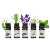 Rio aromatherapy oil collection pack of 5 10ml bottles - British product