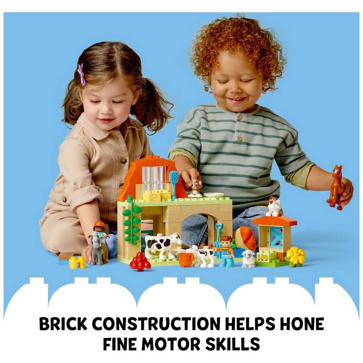 LEGO DUPLO farm animal playset 10416 - British product