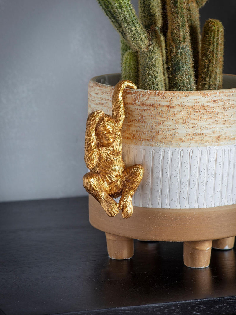 Gallery Home Gold Olivia the Orangutan pot hanger 2 pack, UK version