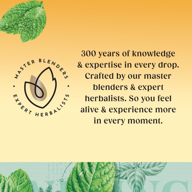 Twinings Peppermint Tea   80 per pack GOODS M&S