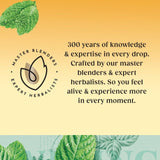 Twinings Peppermint Tea   80 per pack GOODS M&S