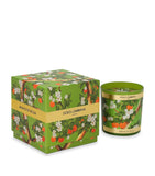 Dolce&Gabbana Arancio di Sicilia scented candle 250g, UK version