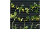 Argos Garden by Sainsbury's 20 Ivy Solar String Lights- Buy online at McGrocer