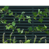Sainsbury's 20 Ivy solar string lights 4m, UK version
