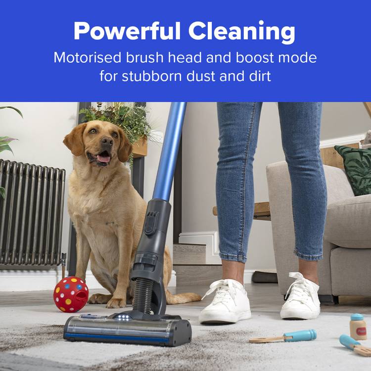 Henry Quick Pet Cordless Vacuum Cleaner, UK version