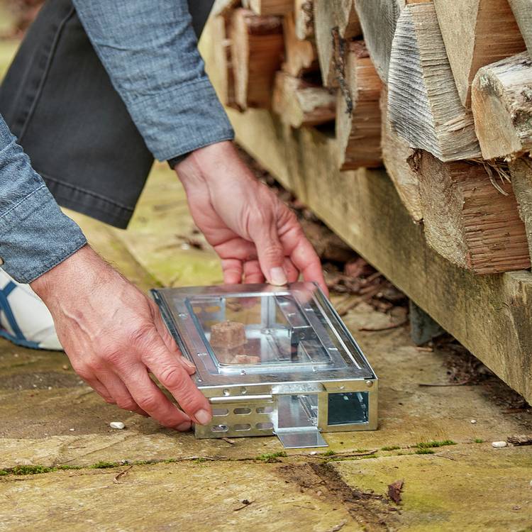 The Big Cheese reusable multi-catch mouse trap (British brand)