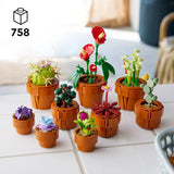 LEGO Tiny Plants botanical set 10329, imported from the UK