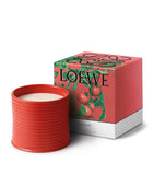 LOEWE Large Tomato Leaves scented candle, UK version