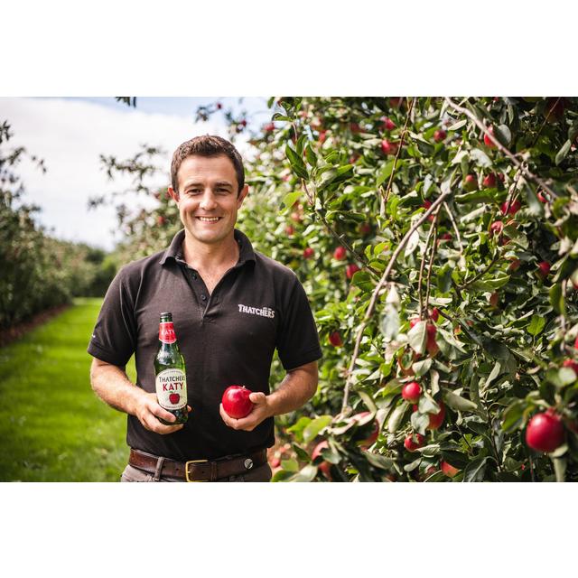 Thatchers Cider Katy   500ml GOODS M&S