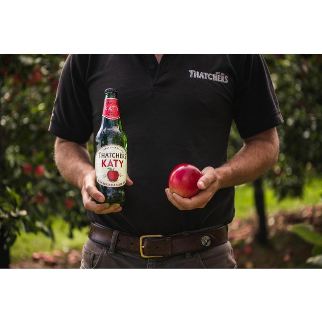 Thatchers Cider Katy   500ml GOODS M&S