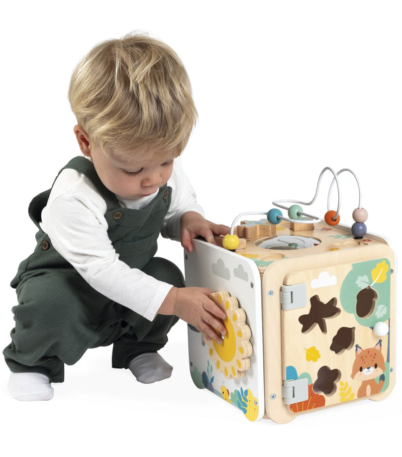 Janod wooden multi-activity cube, imported from the UK