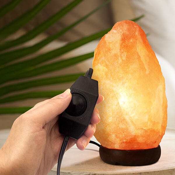 The Body Source Himalayan Salt Lamp hand-carved 2-3kg, imported from the UK