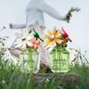 Marc Jacobs Daisy Wild Perfume 30ml, imported from the UK