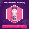 Sambucol Chewable Teddies Berry Flavour 60 Count (British brand)