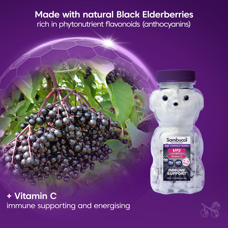 Sambucol Chewable Teddies Berry Flavour 60 Count (British brand)
