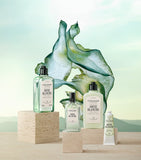 L'Occitane Ortie Blanche eau de parfum 50ml, imported from the UK