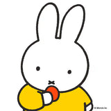 HiSmile Miffy Sweet Apple toothpaste tube (British brand)