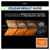 L'Oreal Preference Vivids Copper hair colour, UK version