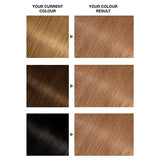 Garnier Nutrisse permanent hair dye 6.3 Golden Light Brown, imported from the UK