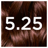 Garnier Nutrisse hair dye Frosted Chestnut Brown, UK version