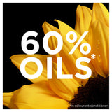 Garnier Olia Olia 5.3 Golden Brown: 100% Grey Coverage, No Ammonia, for a radiant golden hue.