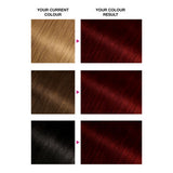 Garnier Olia 3.6 Deep Cherry Red permanent hair dye (British brand)