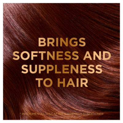 Garnier Ultimate Blends Argan Richness vegan shampoo dry hair 400ml, UK version