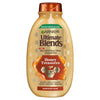 Garnier Honey Treasures Shampoo Acacia Manuka Lavender 400ml, UK version
