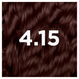 Garnier permanent hair dye 4.15 Iced Chestnut Brown, imported from the UK