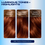 Clairol Nice'N Easy Medium Reddish Brown 5RB hair dye, imported from the UK