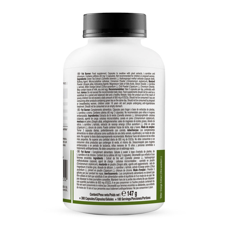 Weider Fat Burner 300 capsules, imported from the UK
