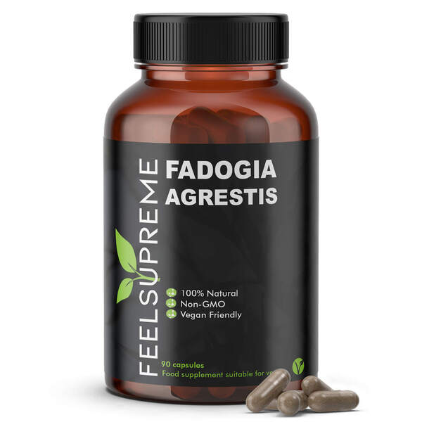 Feel Supreme Fadogia Agrestis supplement 90 capsules - British product