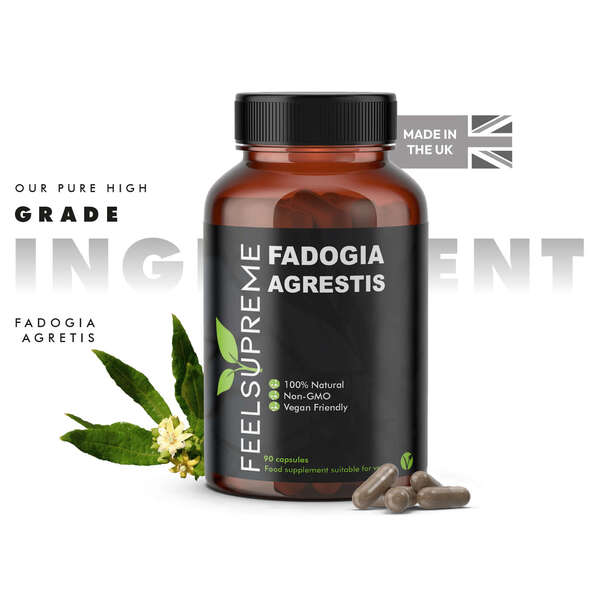 Feel Supreme Fadogia Agrestis supplement 90 capsules - British product