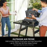 Ninja Woodfire Pro XL BBQ grill and smoker - British product
