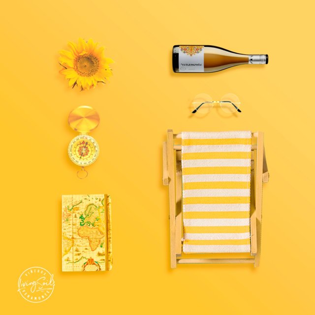 Veramonte Organic Chardonnay Casablanca   75cl GOODS M&S