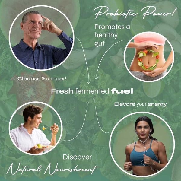 Known Nutrition Kombucha Vegan Gummy Supplement 60, imported from the UK