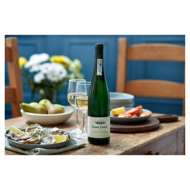 Txomin Extaniz Txakoli   75cl GOODS M&S