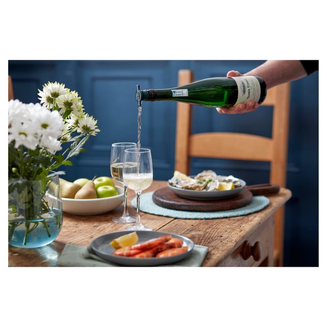 Txomin Extaniz Txakoli   75cl GOODS M&S