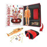 DK Human Body VR set with book and goggles (British brand)