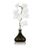 Senti Orchid White Flowers reed diffuser 250ml (British brand)