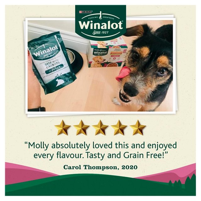 Winalot Meaty Chunks Mixed in Jelly Wet Dog Food 24 x 100g GOODS M&S
