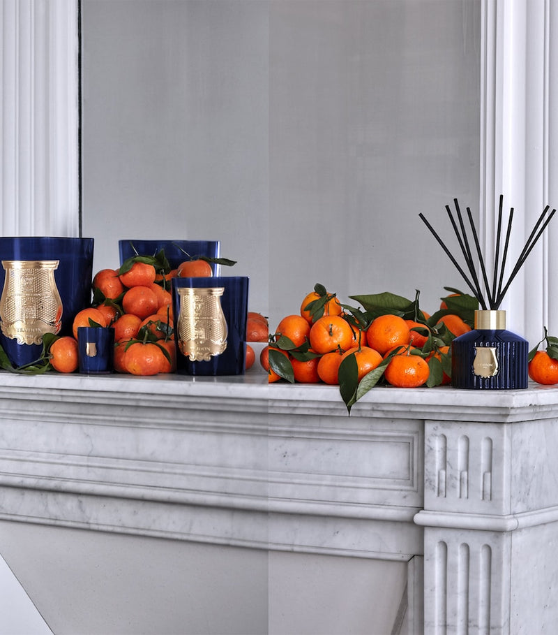 Cire Trudon Reggio diffuser Mandarin Mimosa 300ml, imported from the UK