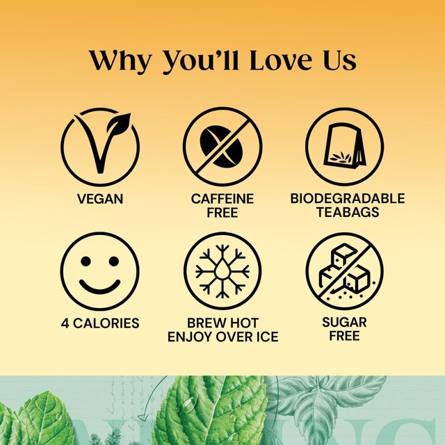 Twinings Peppermint Tea 20 per pack GOODS M&S