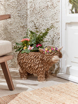 Next Hamish The Highland Cow Plant Pot- Buy online at McGrocer