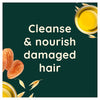 Aveeno Apple Cider Vinegar Shampoo 300ml - British product