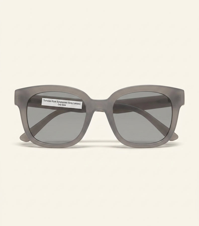 Celine acetate sunglasses model 0CL000193 (British brand)