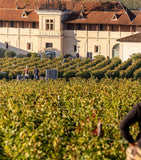 Château Angélus red wine 2023 75cl, UK version